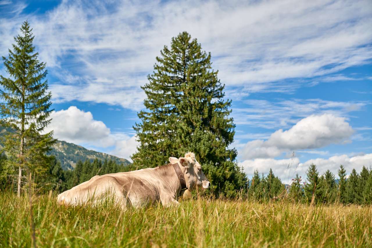 Nachhaltiger Urlaub