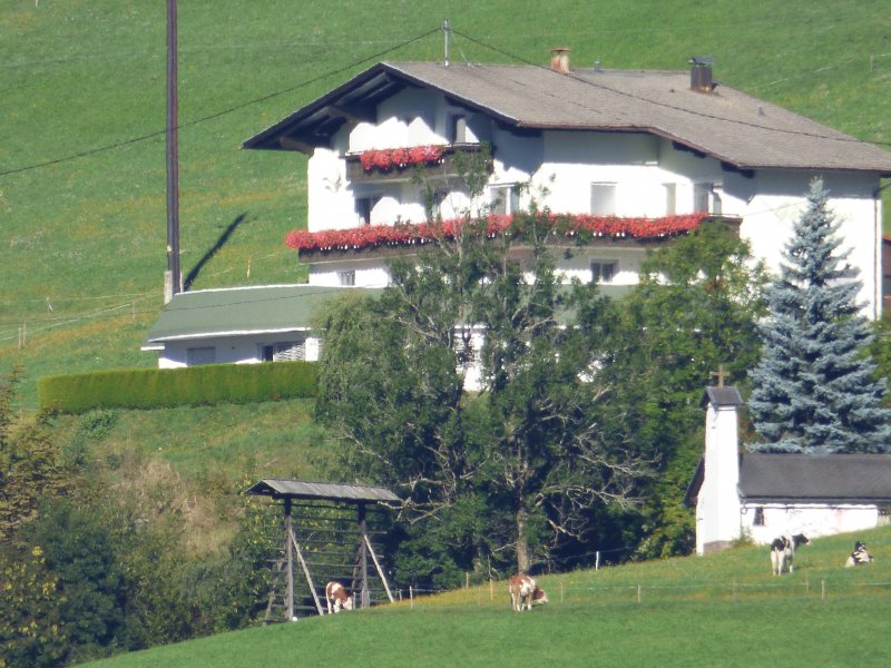 p1010138