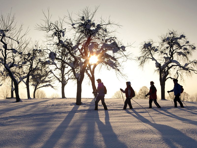 winterwanderung-web