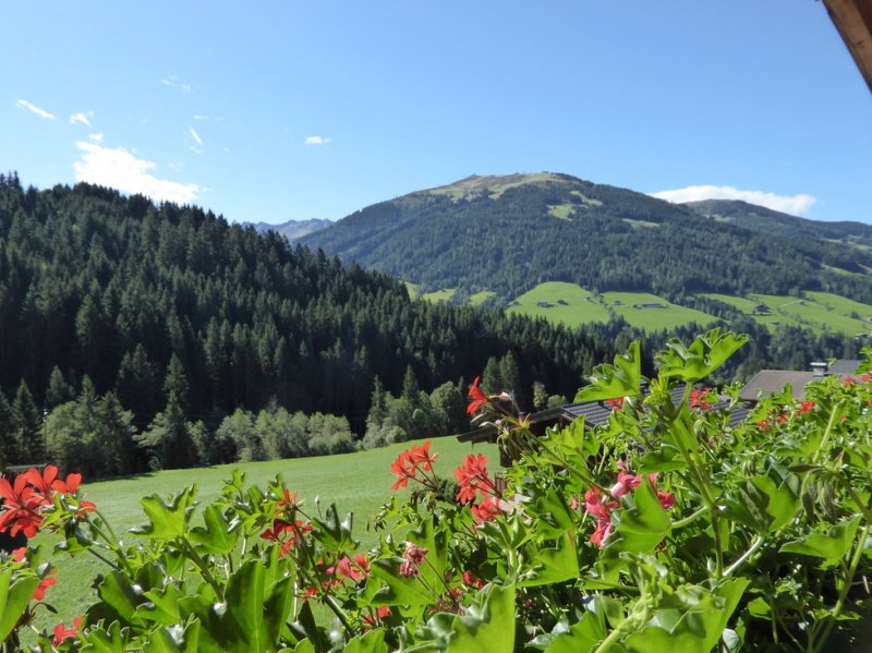 aussicht-wohnung