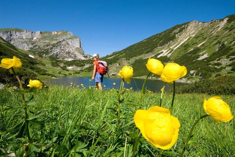 wanderung-zireiner-see