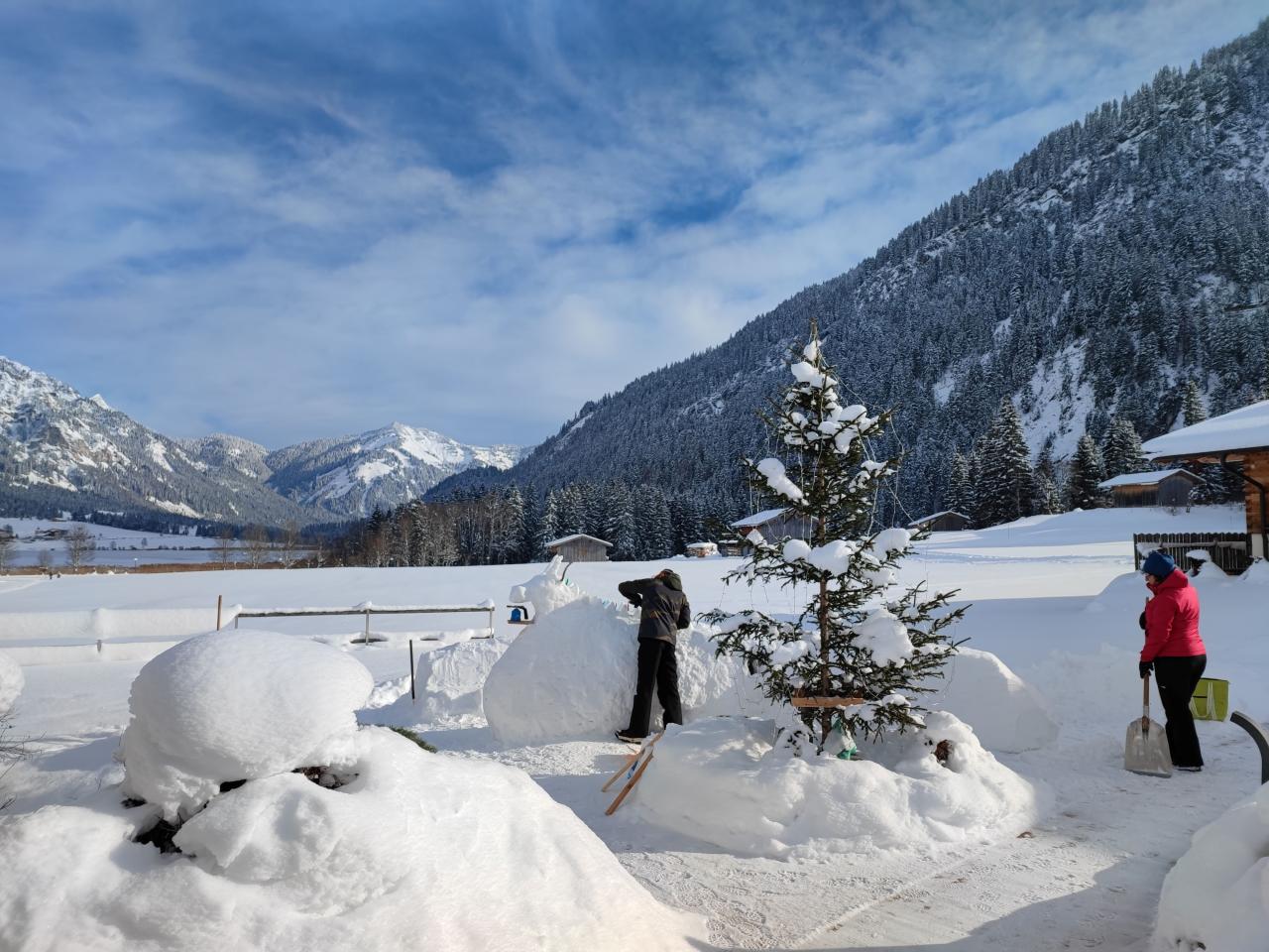 schneebar-bild-weniger-pixel