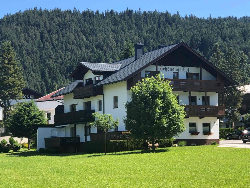 sommer-neu-klen