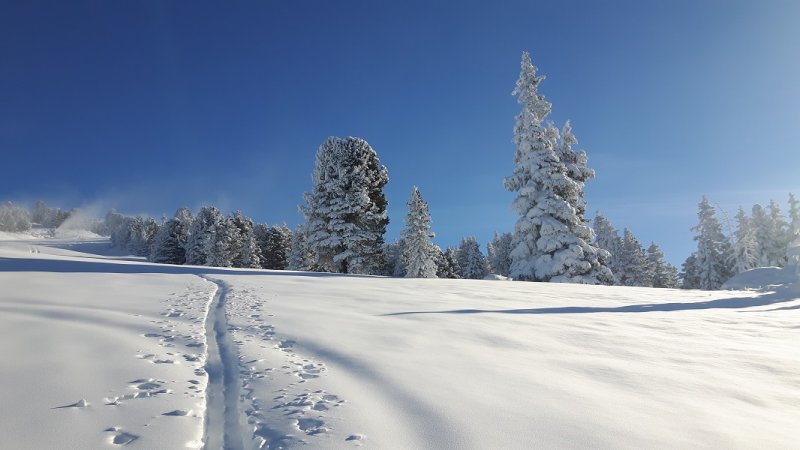 schnee-vom-feinsten