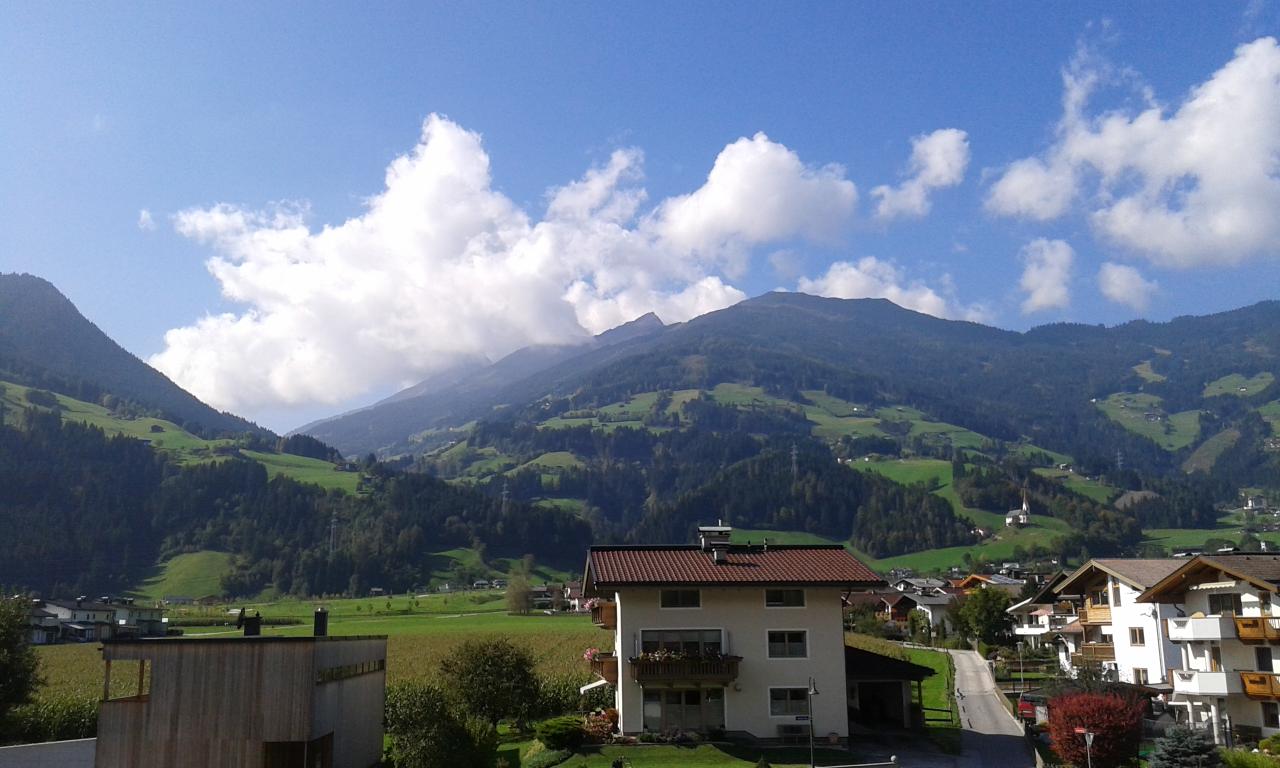 sommer-umgebung