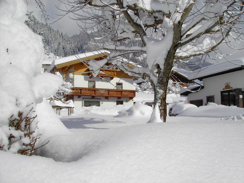 winterbilder-18-2-2009-00018