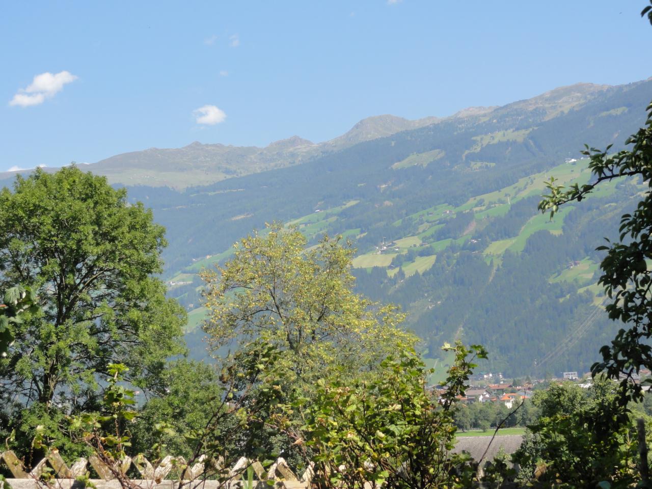 dsc00373