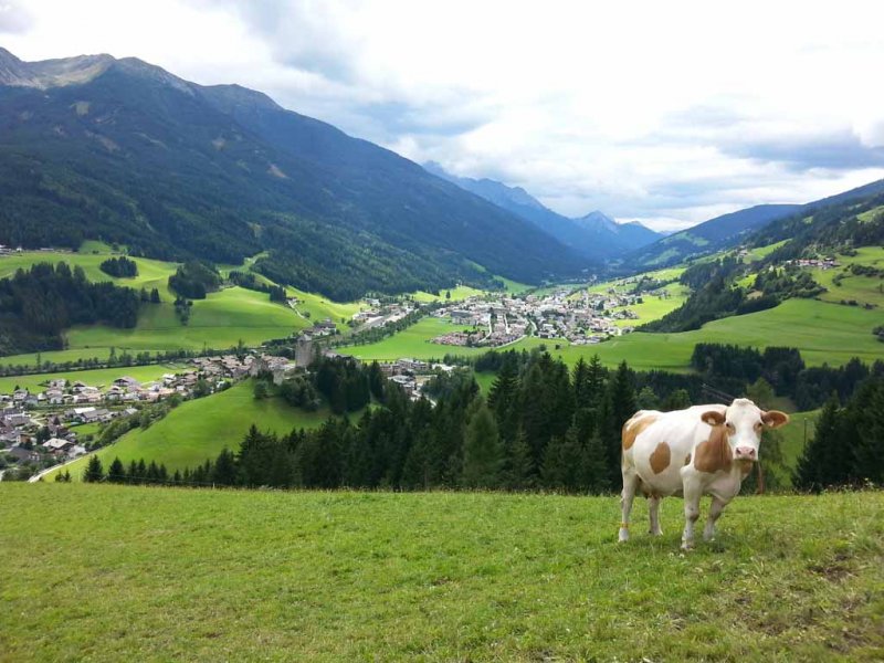 rieserhof-tirol-07