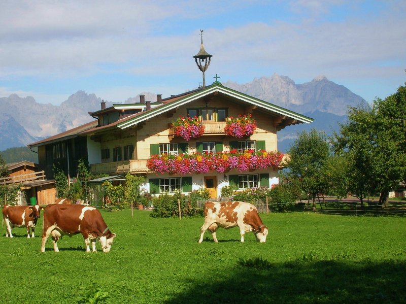 urlaub-am-bauernhof-2009