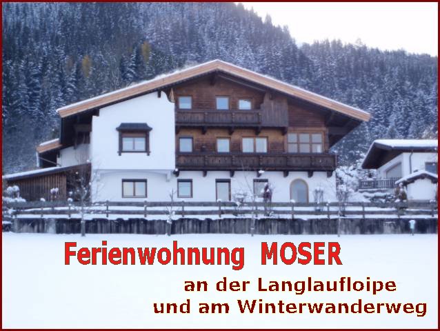 winterhaus-640