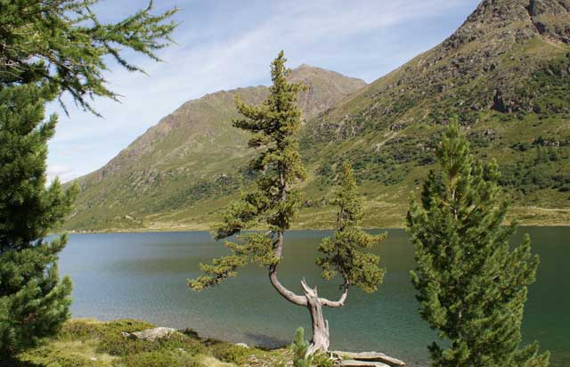 sommer-obersee-640x412