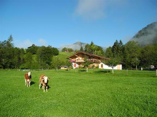 haus-millinger-sommer