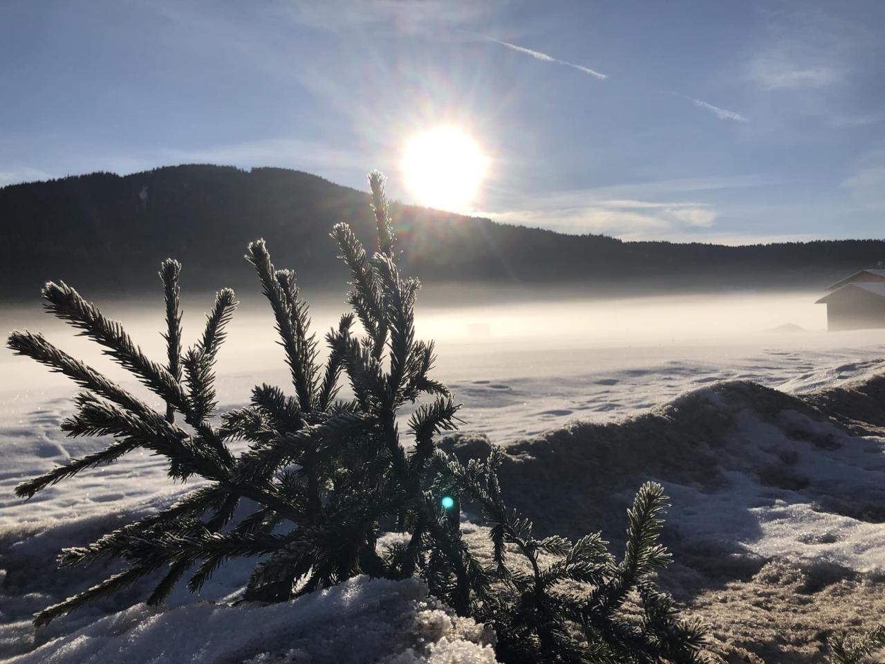 mooser-nebel