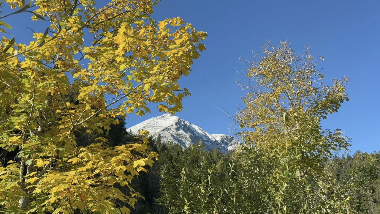 mundeblick