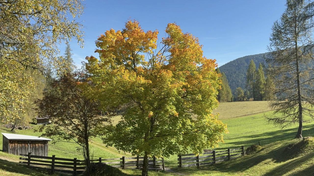 unterer-wiesenweg