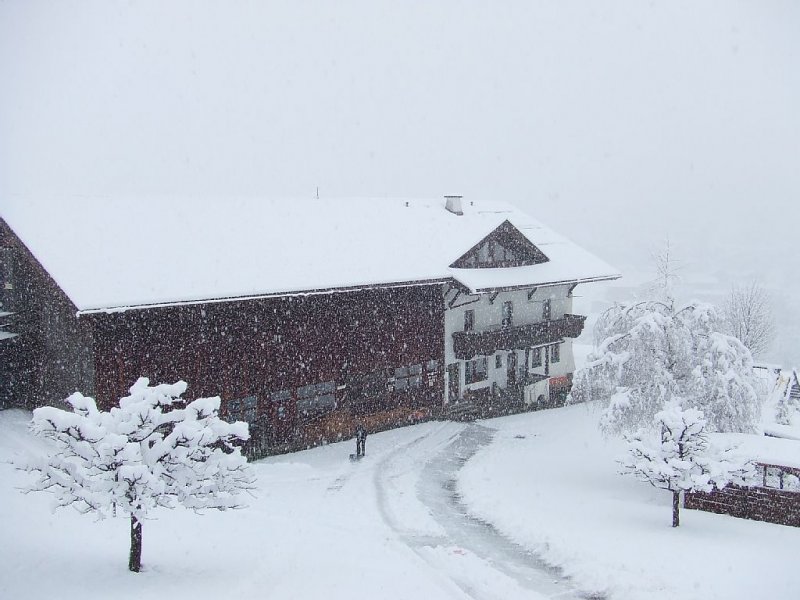 musterhof-winter2