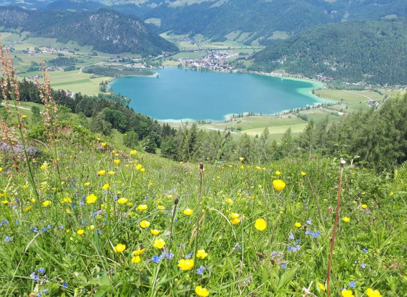 bergblick-walchsee-10