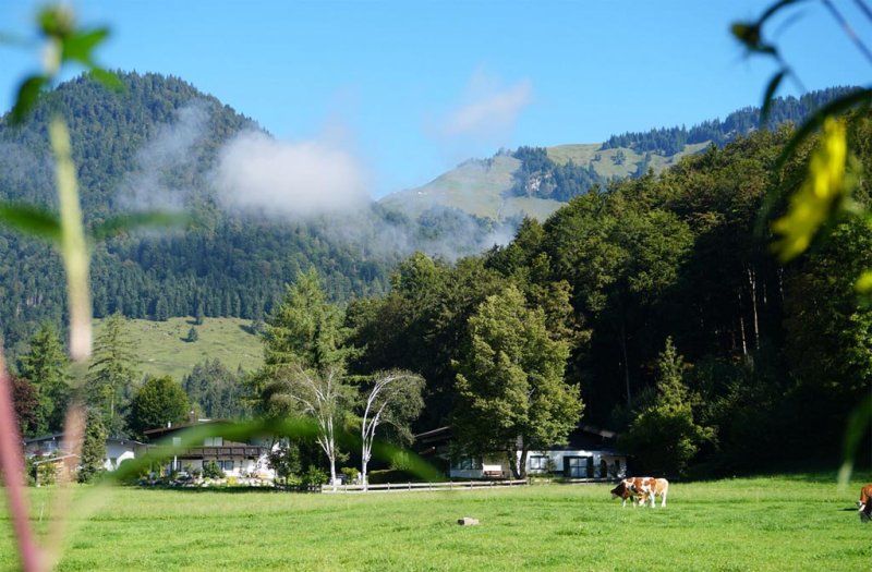 bergblick-walchsee-13