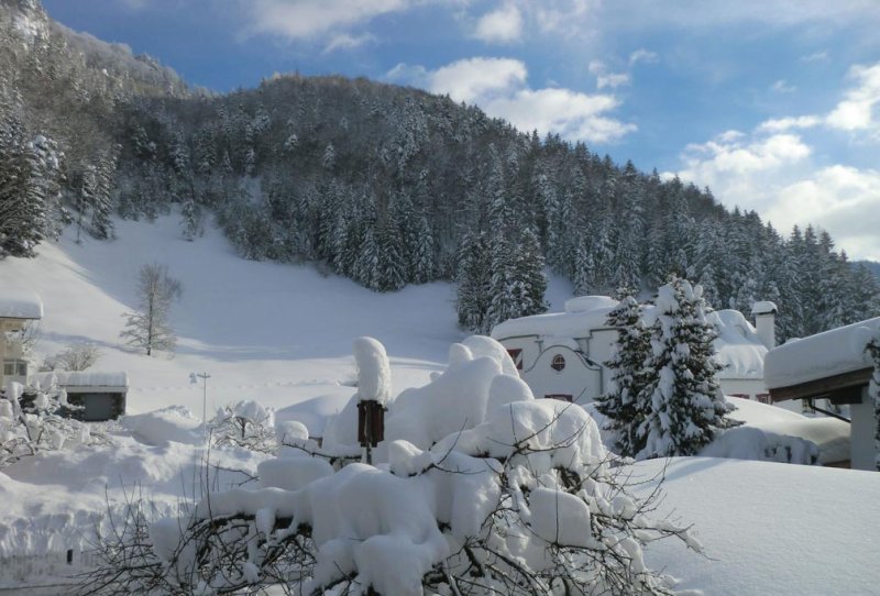 bergblick-walchsee-14