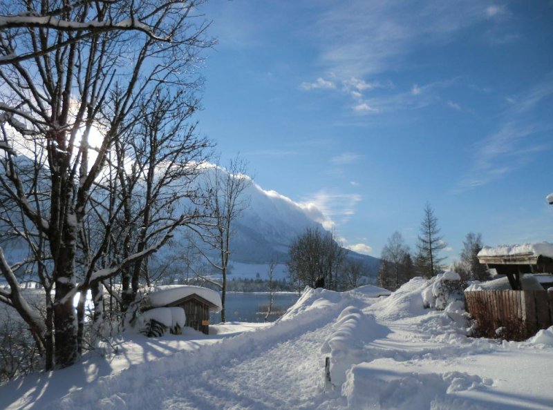 bergblick-walchsee-15