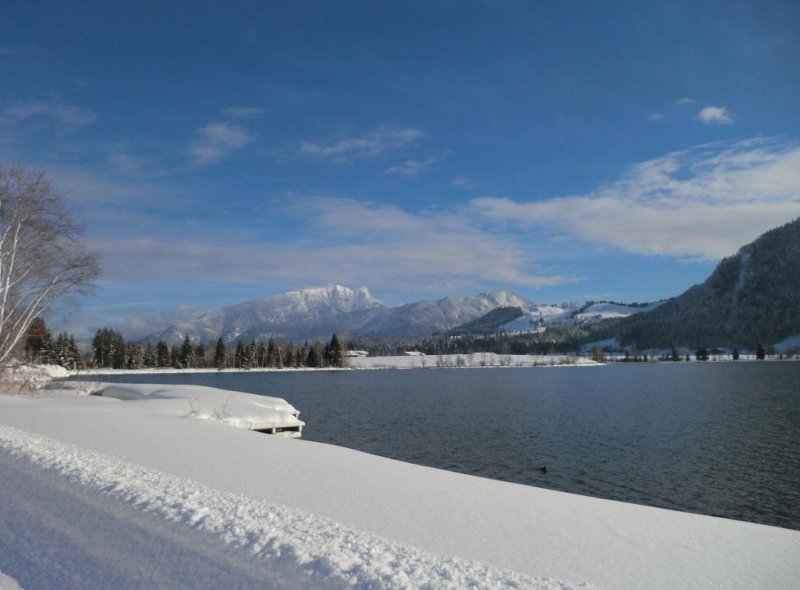 bergblick-walchsee-16