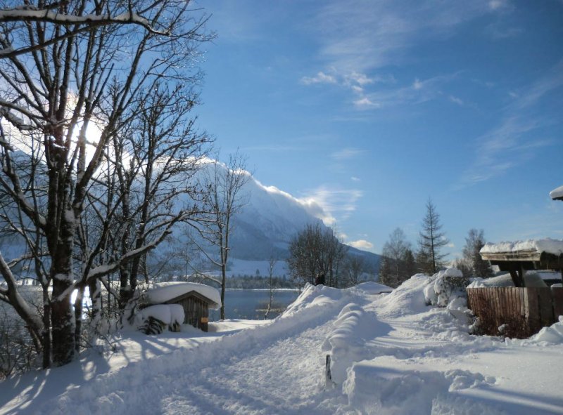 bergblick-walchsee-17