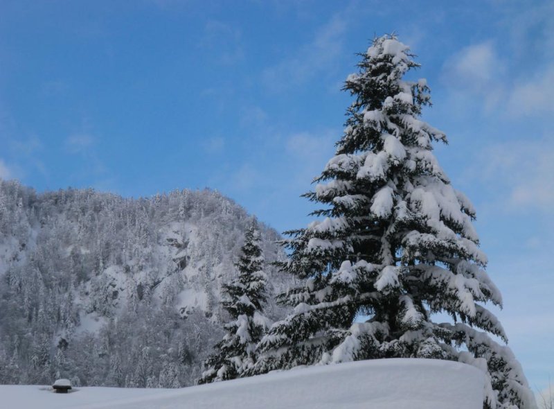 bergblick-walchsee-18