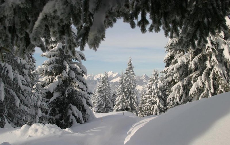 bergblick-walchsee-19