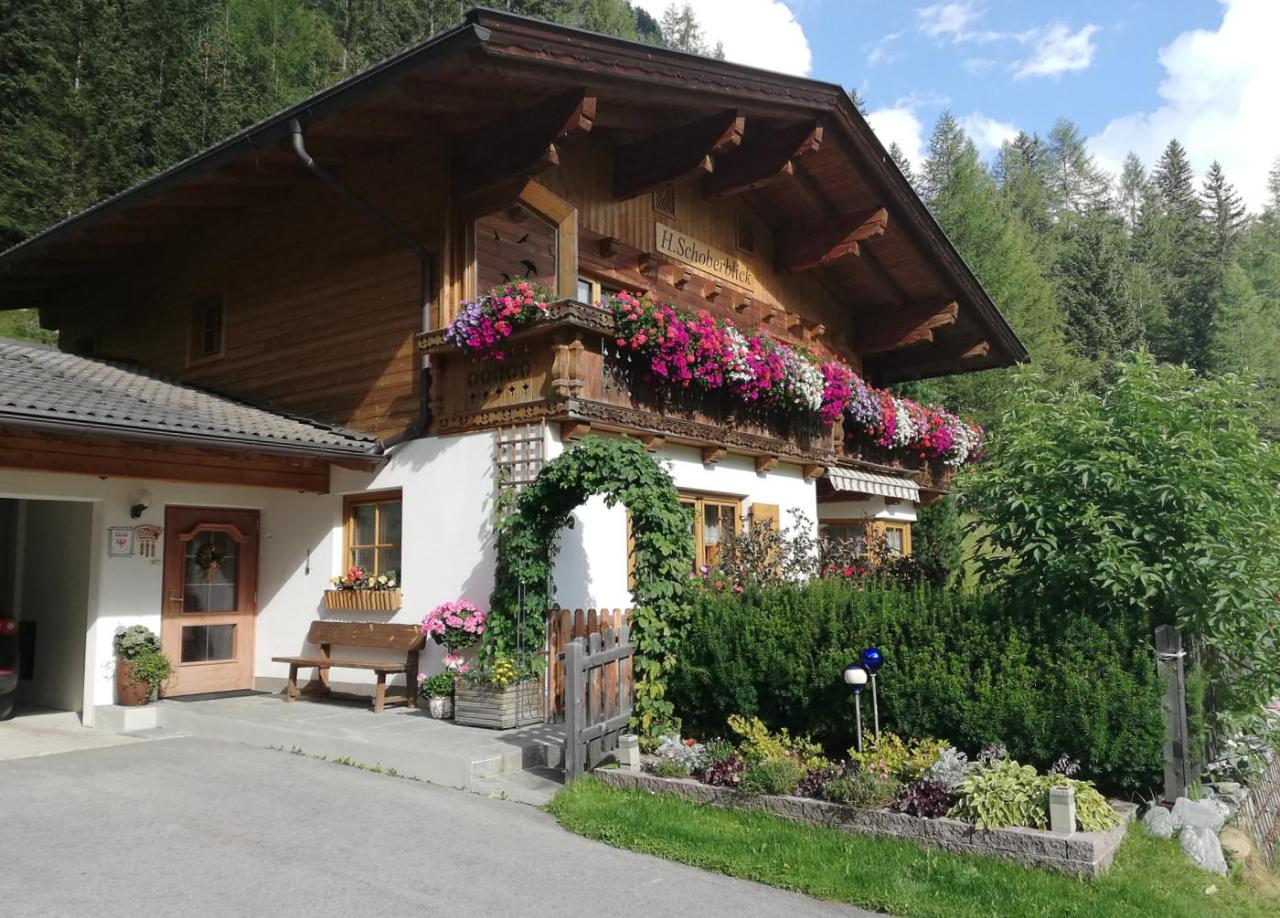 haus-schoberblick-sommer-kals