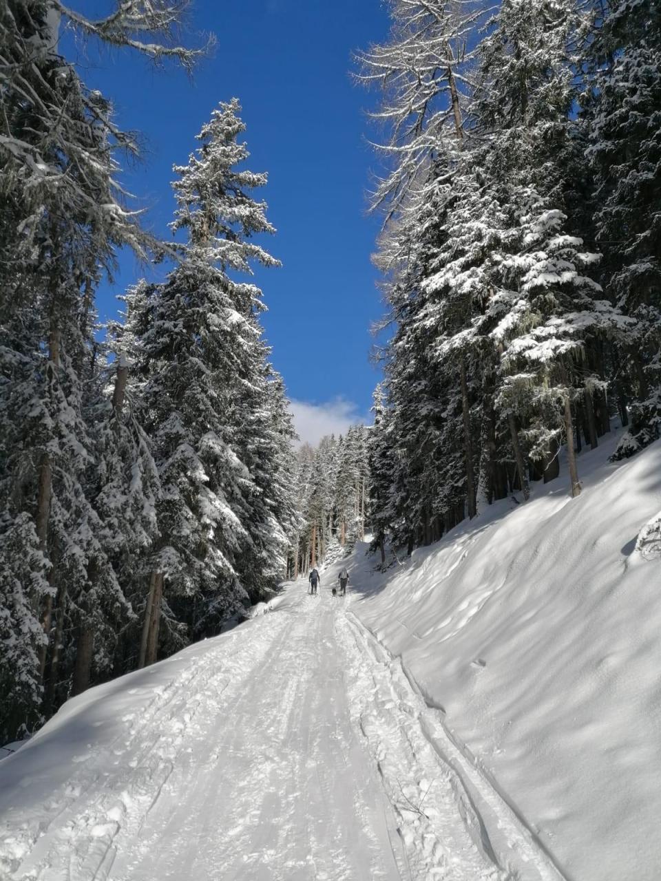 skitour-kals-haus-schoberblick