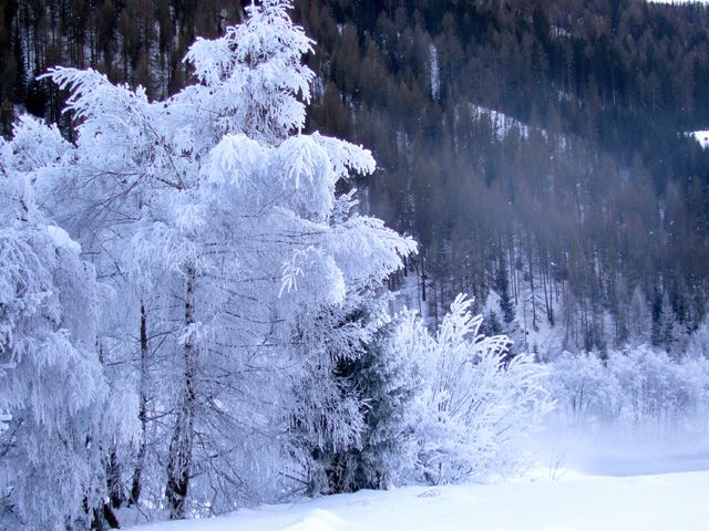 015-appartementhaus-grossgasteiger43-st-jakob-im-defereggental