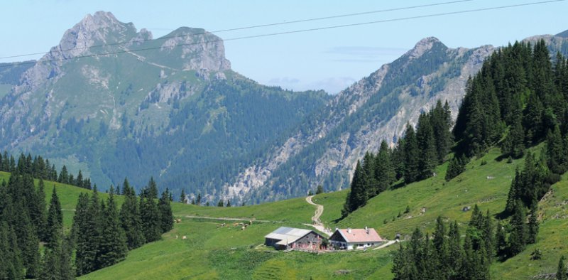 012-tannheimertal-wandern