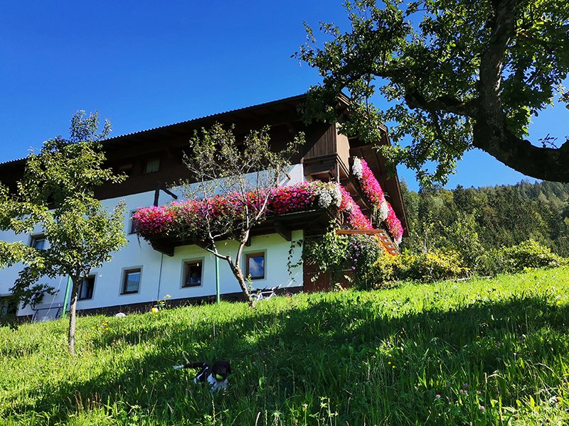 blick-vom-obstgarten-zum-haus