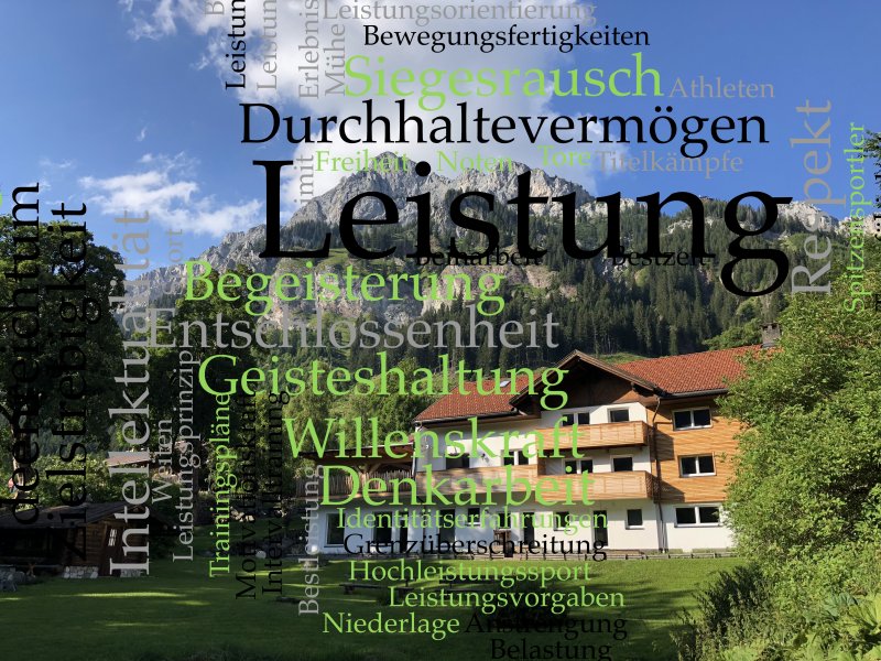 img-0-leistung