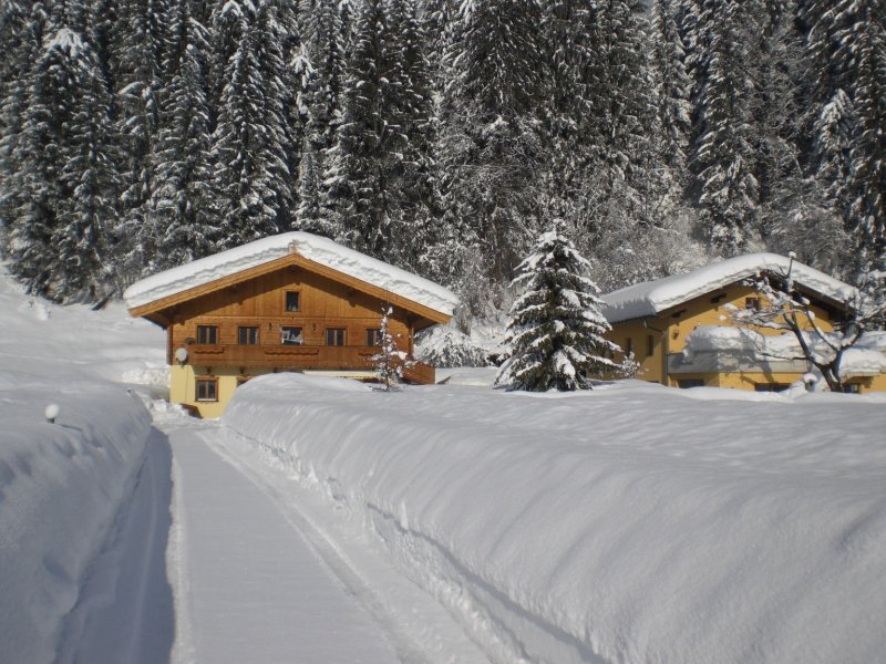 bild2