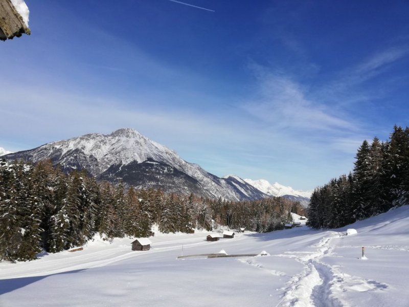 winterbild-klein