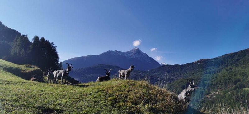 granbichlhof-soelden-10