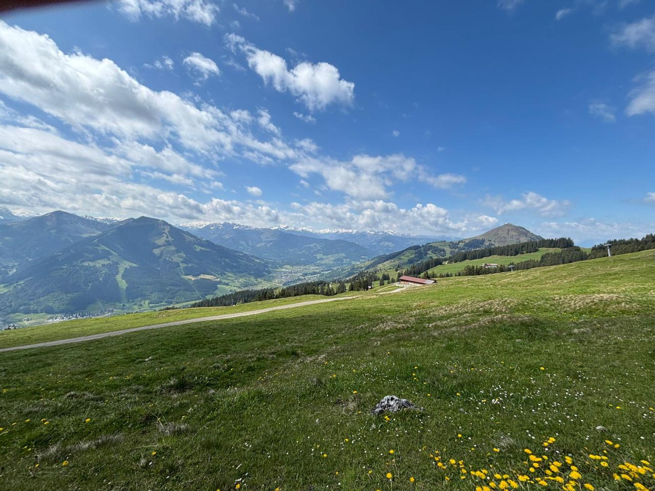 foto-fruehling