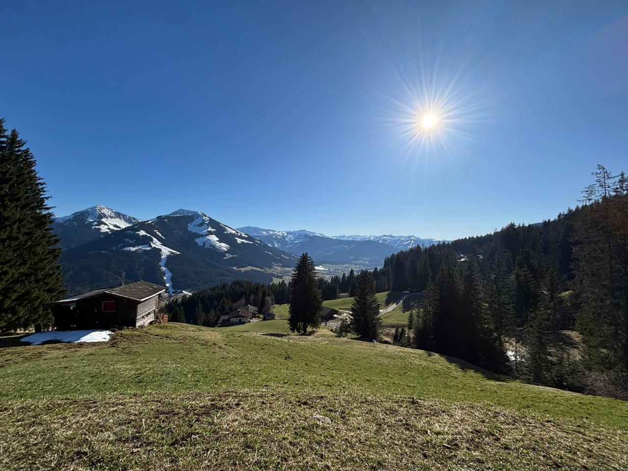 foto-spaziergang-fruehling