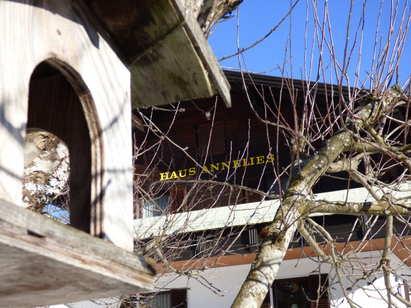 aus-dem-vogelhaus