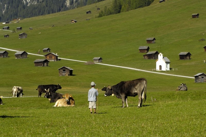 sommer-tschey