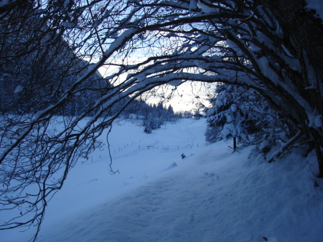 winterlandschaft-640x480